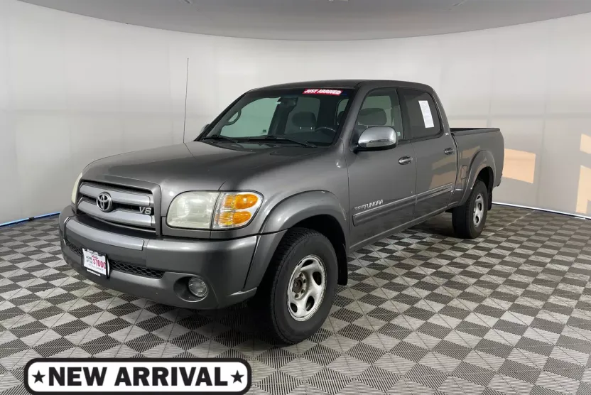 2004 Toyota Tundra SR5 photo 1