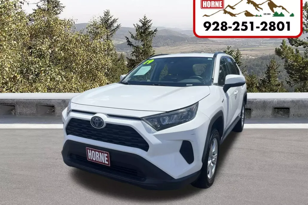 2019 Toyota RAV4 Hybrid LE photo 1