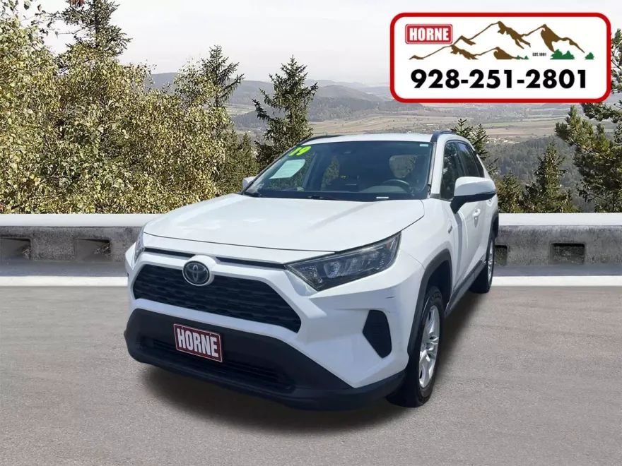 2019 Toyota RAV4 Hybrid LE photo 1