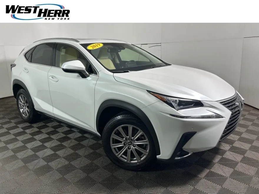 2019 Lexus NX 300 Luxury photo 1
