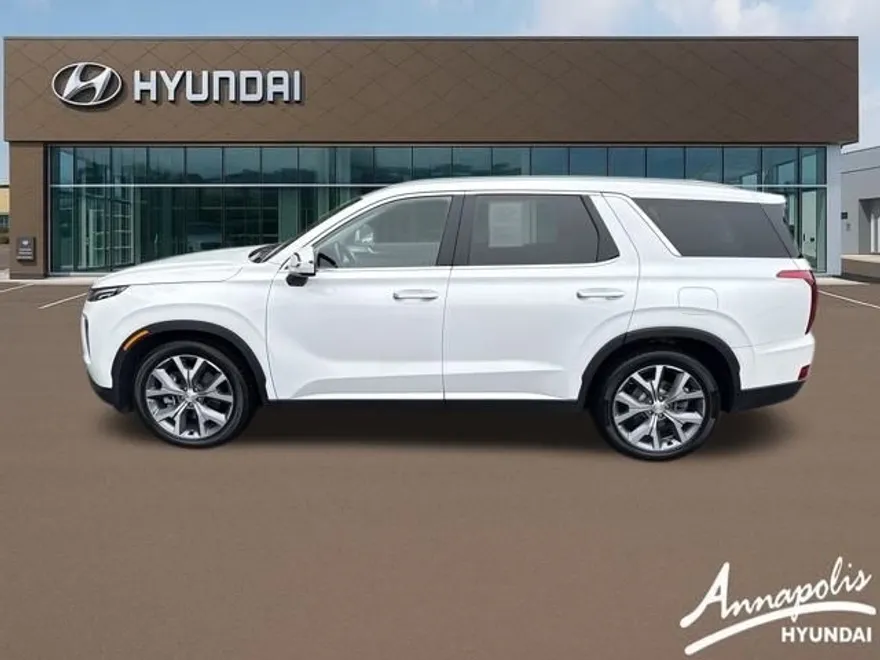 2020 Hyundai Palisade SEL photo 1
