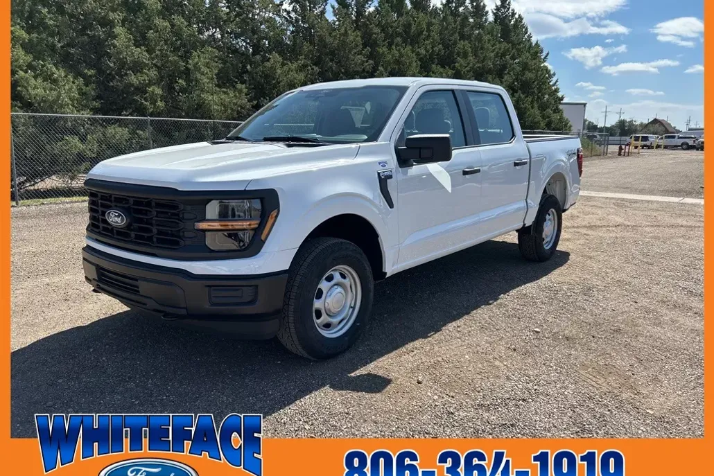 2025 Ford F-150 XL photo 1