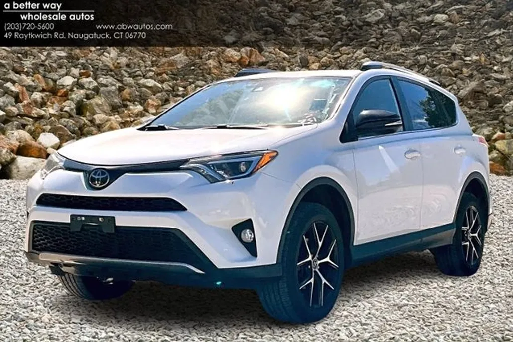 2018 Toyota RAV4 SE photo 1