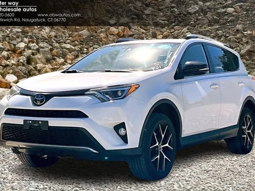 2018 Toyota RAV4 SE photo 1