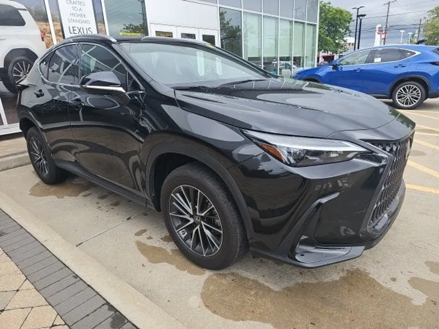 2023 Lexus NX 350h photo 1