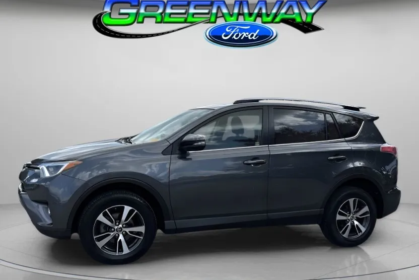 2018 Toyota RAV4 XLE photo 1