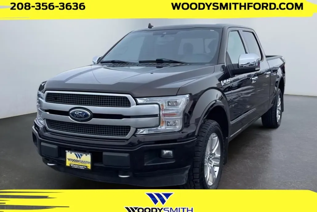2019 Ford F-150 Platinum photo 1