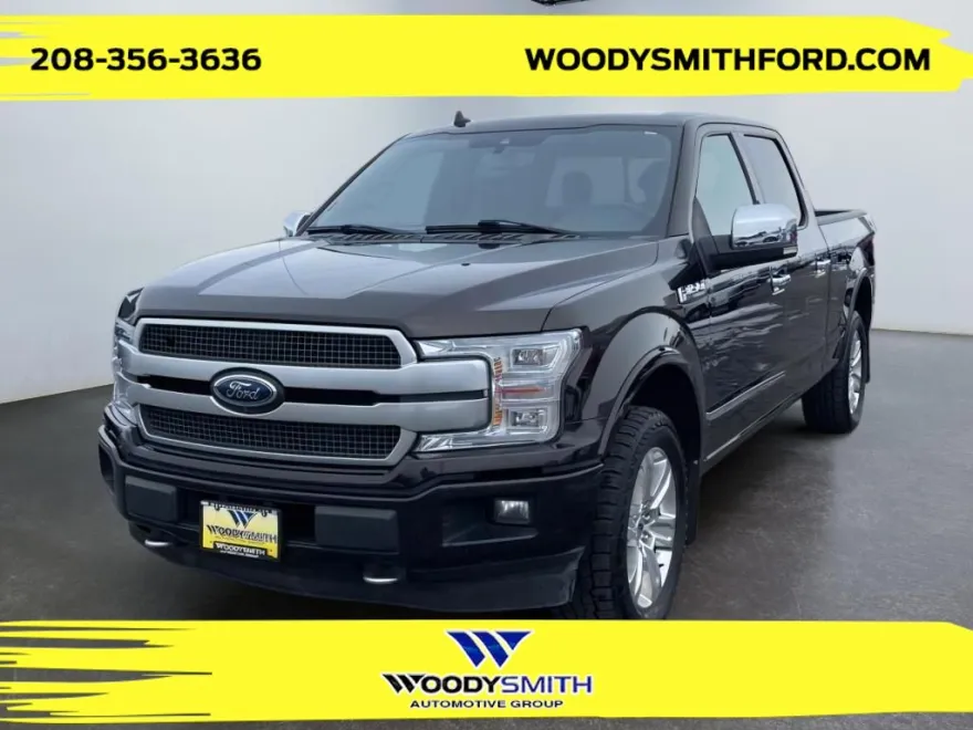 2019 Ford F-150 Platinum photo 1