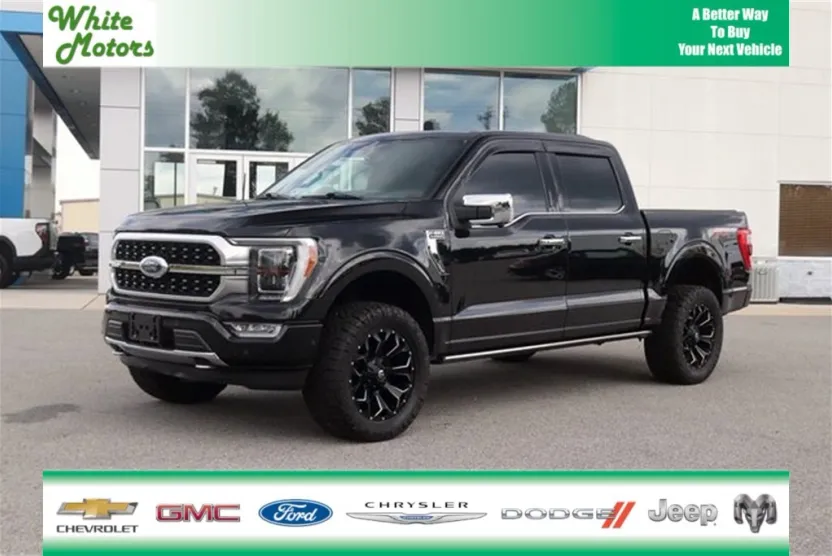 2021 Ford F-150 Platinum photo 1