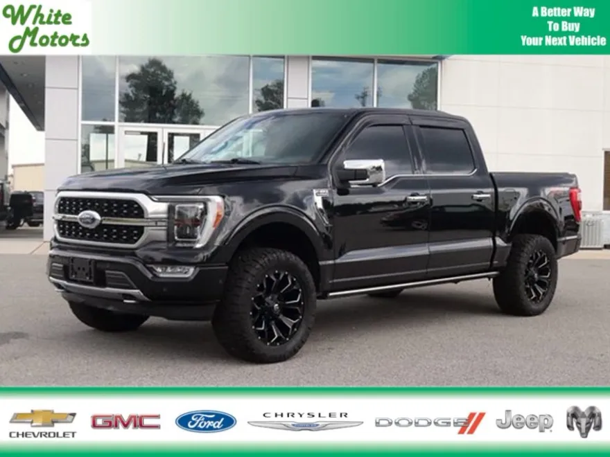 2021 Ford F-150 Platinum photo 1