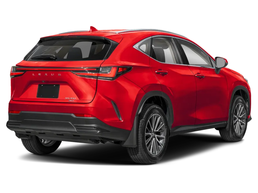 2024 Lexus NX 350 photo 1
