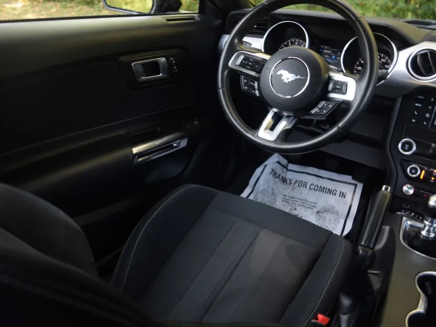 2020 Ford Mustang GT photo 1
