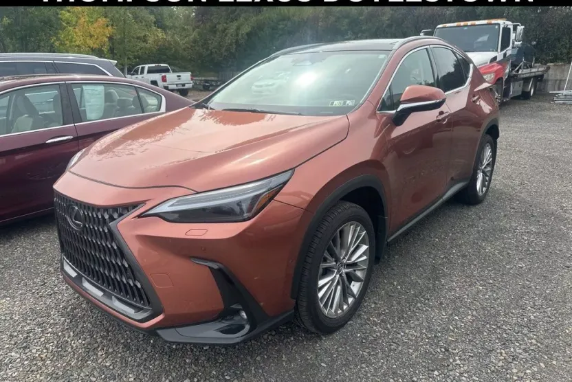 2025 Lexus NX 350h Luxury photo 1