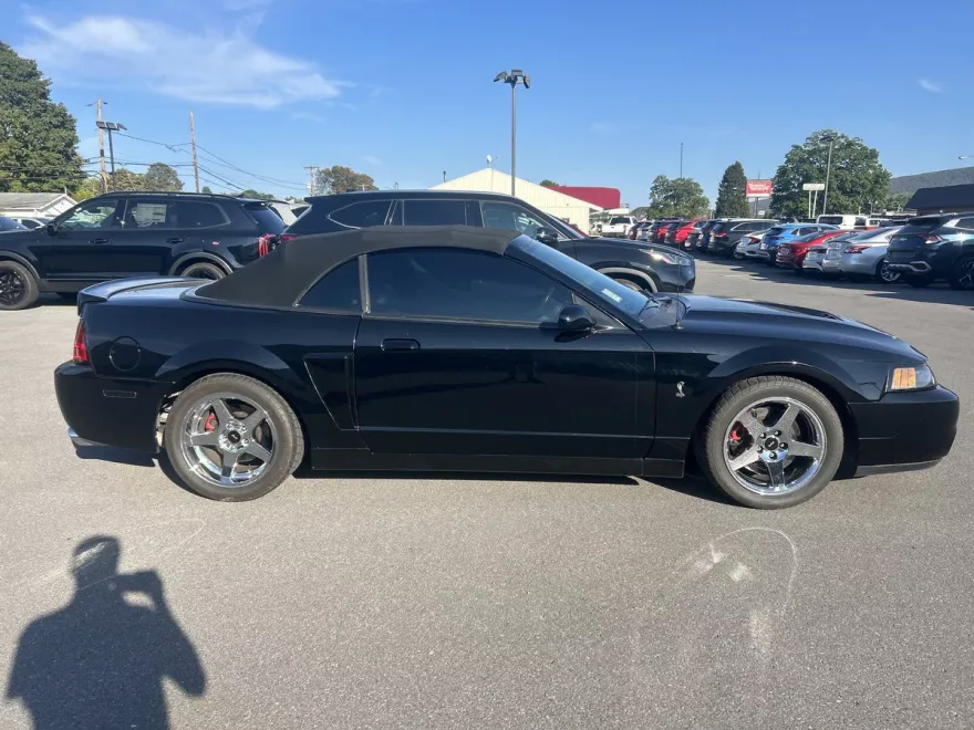 2004 Ford Mustang Cobra Convertible photo 1