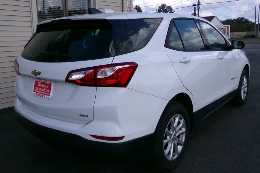 2019 Chevrolet Equinox LS photo 1