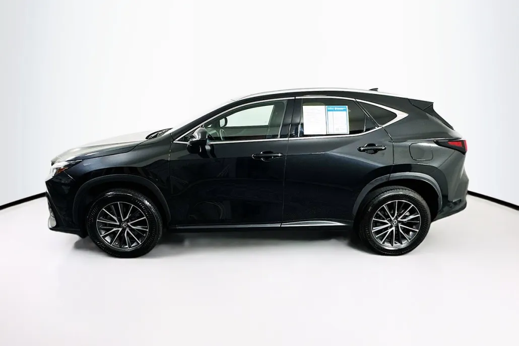 2022 Lexus NX 350h Premium photo 1