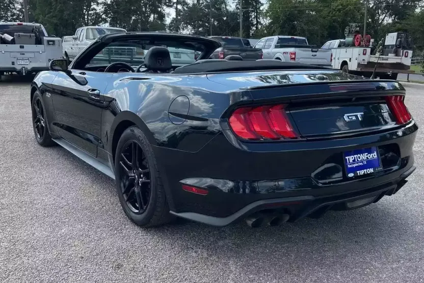 2019 Ford Mustang GT Premium photo 1