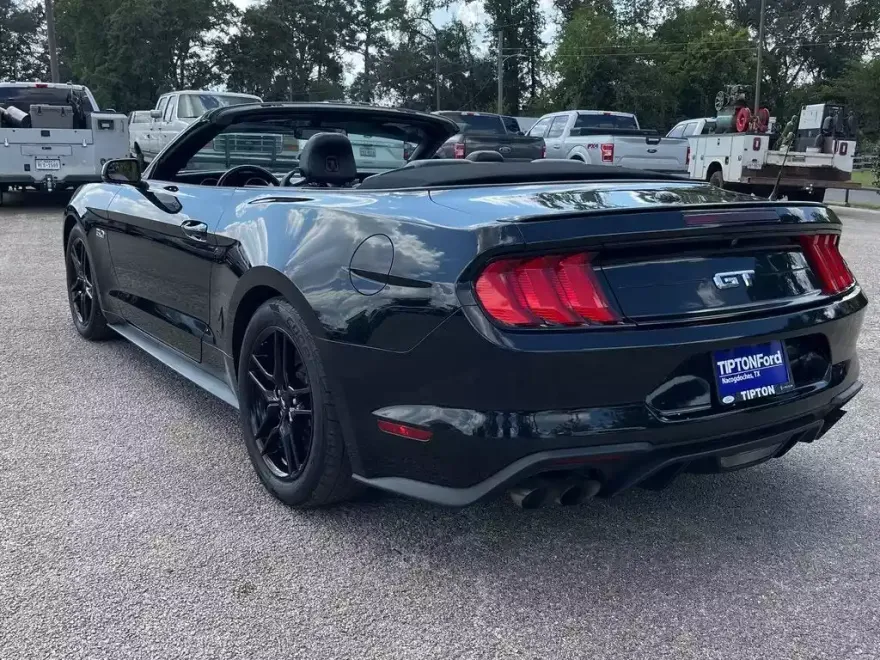 2019 Ford Mustang GT Premium photo 1
