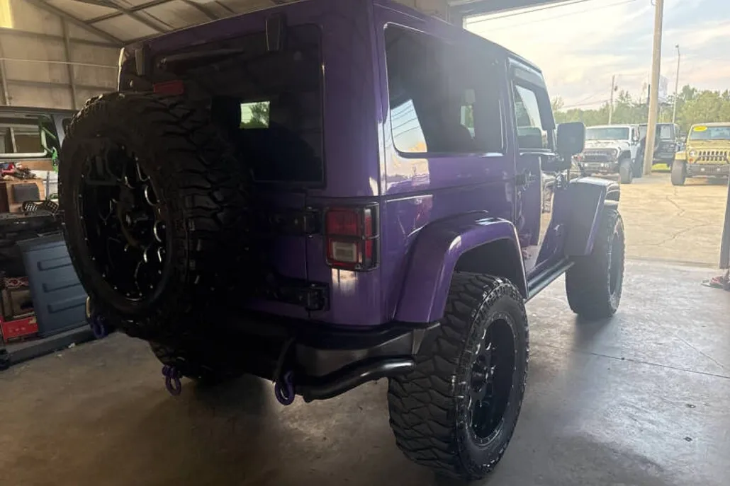 2017 Jeep Wrangler Winter photo 1
