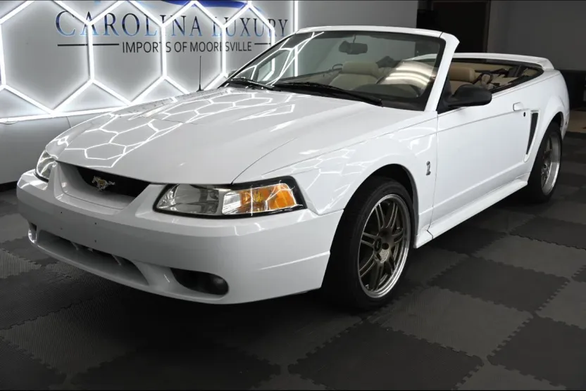 1999 Ford Mustang Cobra Convertible photo 1