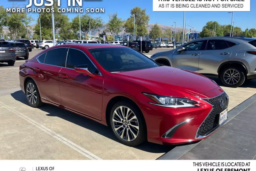 2019 Lexus ES 300h photo 1