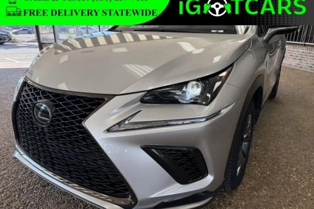 2019 Lexus NX photo 1