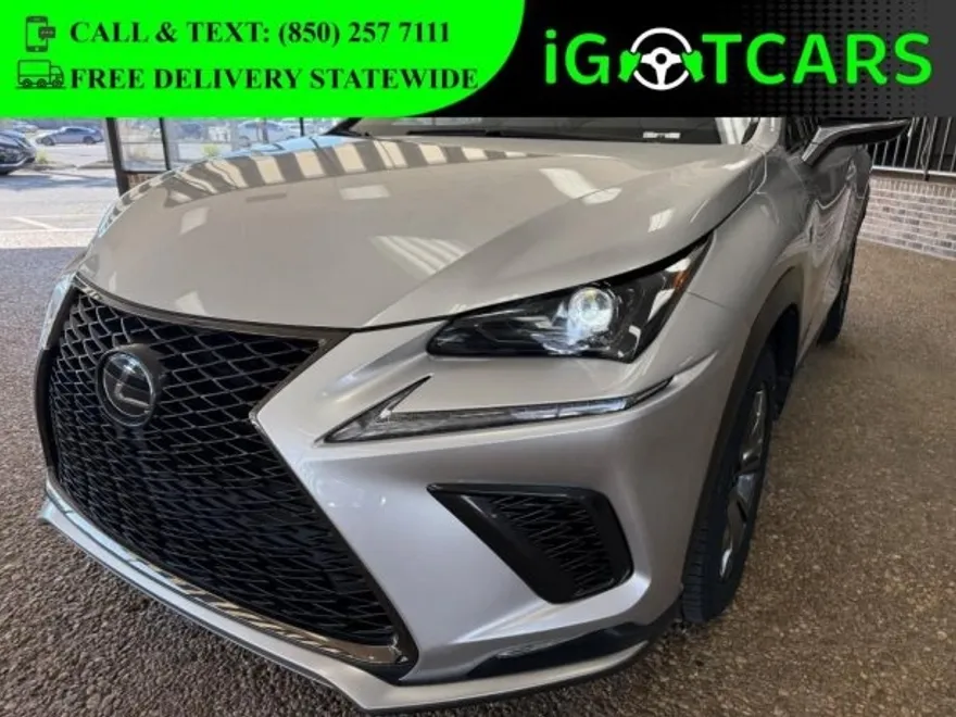 2019 Lexus NX photo 1