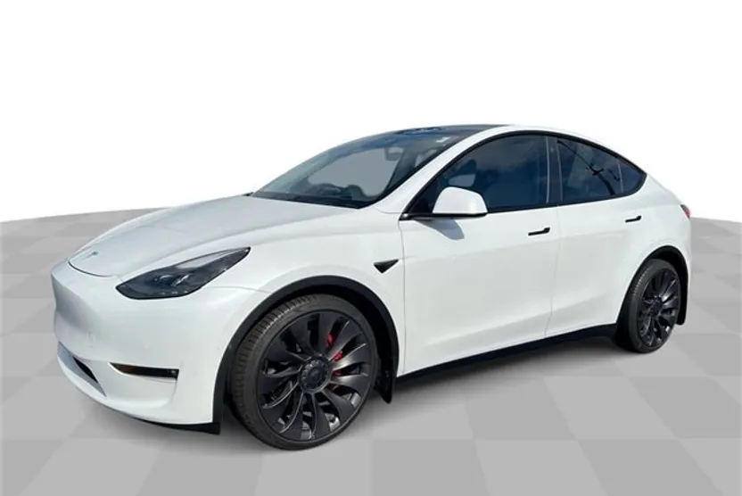 2021 Tesla Model Y Performance photo 1