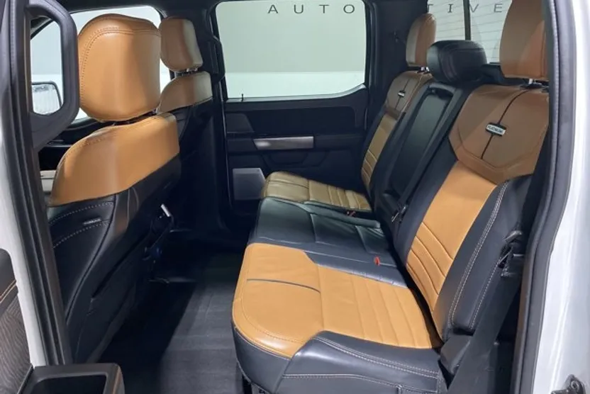 2022 Ford F-150 Platinum photo 1