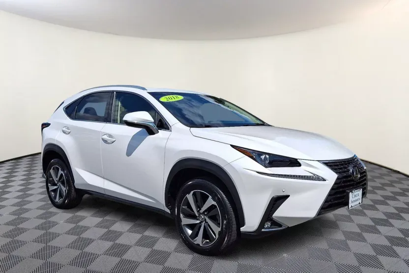 2018 Lexus NX 300 Luxury photo 1