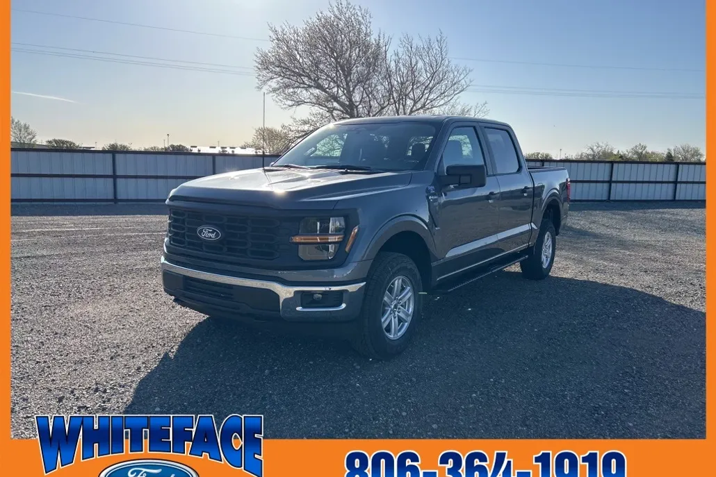 2025 Ford F-150 XL photo 1