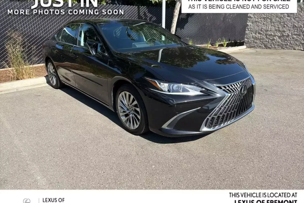 2022 Lexus ES Luxury photo 1
