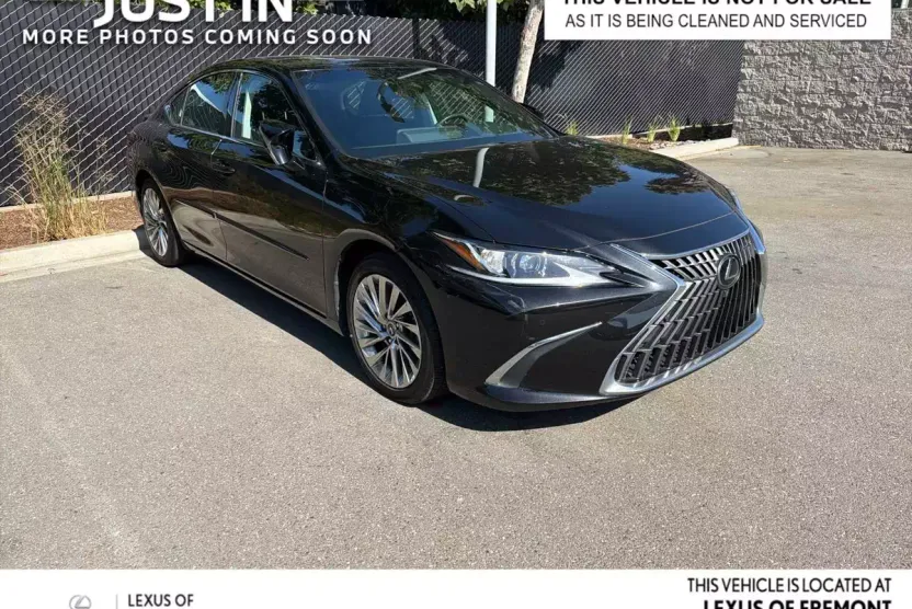 2022 Lexus ES Luxury photo 1