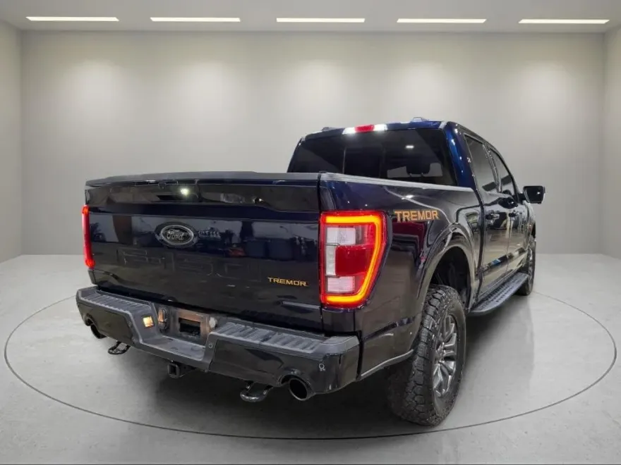2023 Ford F-150 Tremor photo 1