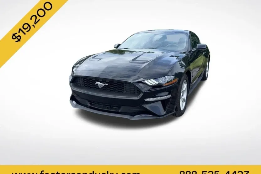 2019 Ford Mustang EcoBoost photo 1