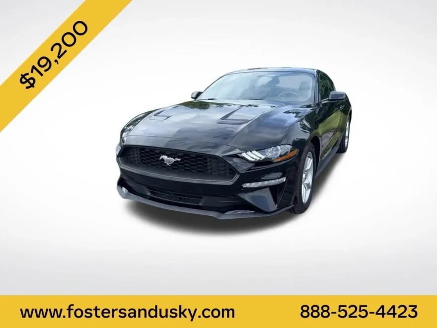 2019 Ford Mustang EcoBoost photo 1