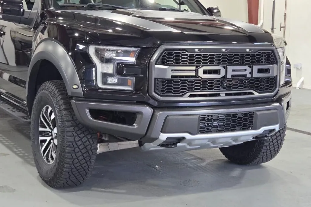 2019 Ford F-150 Raptor photo 1