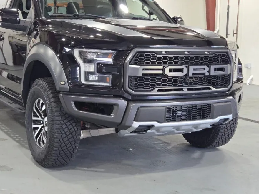 2019 Ford F-150 Raptor photo 1