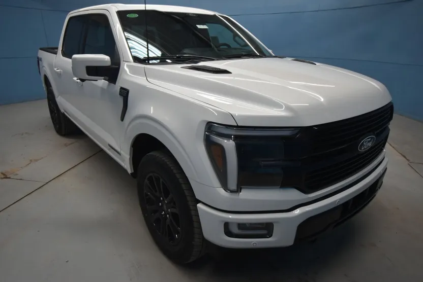 2025 Ford F-150 Platinum photo 1