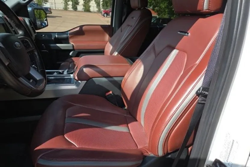 2019 Ford F-150 Platinum photo 1