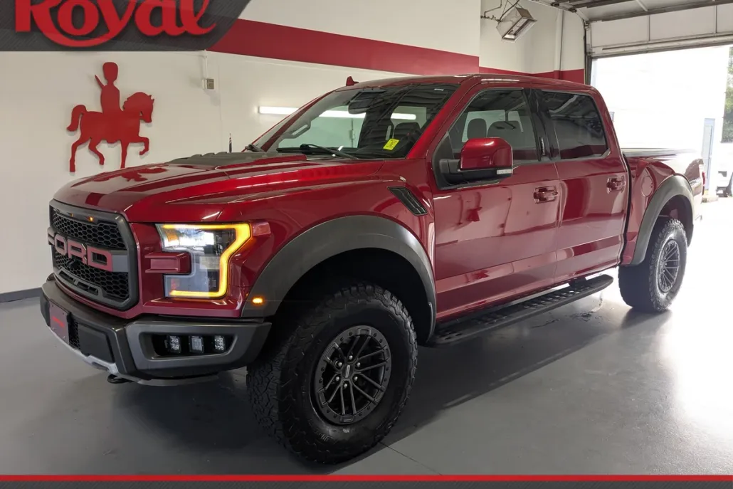 2019 Ford F-150 Raptor photo 1
