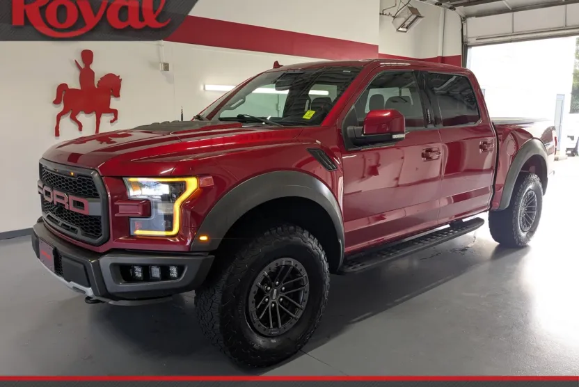 2019 Ford F-150 Raptor photo 1