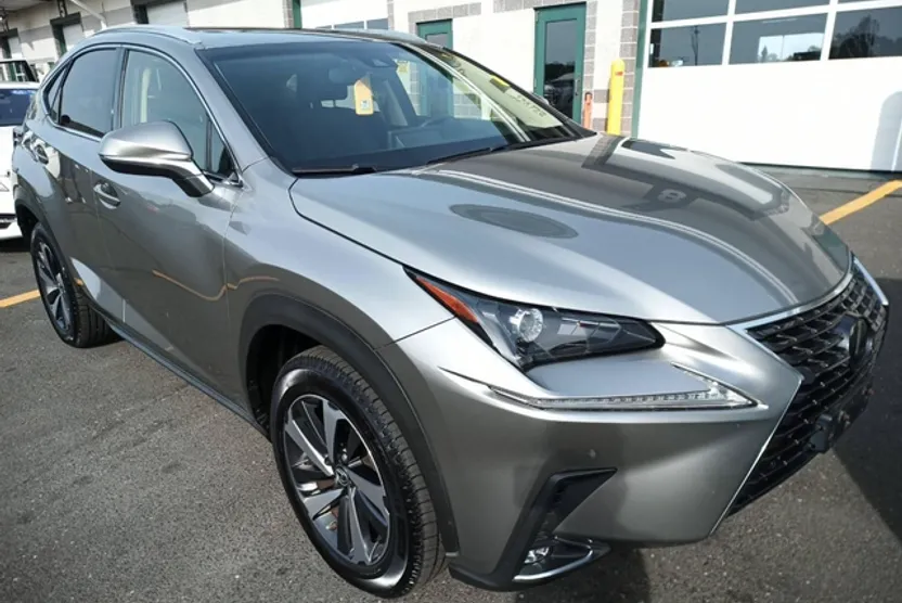 2019 Lexus NX 300 Luxury photo 1