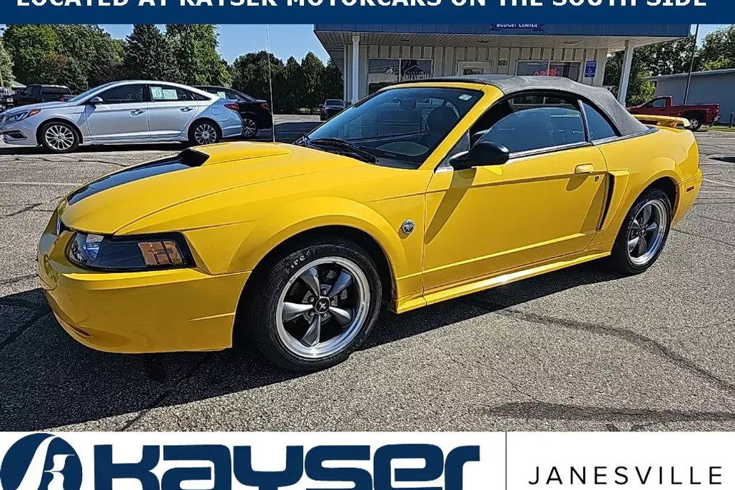 2004 Ford Mustang GT Deluxe photo 1