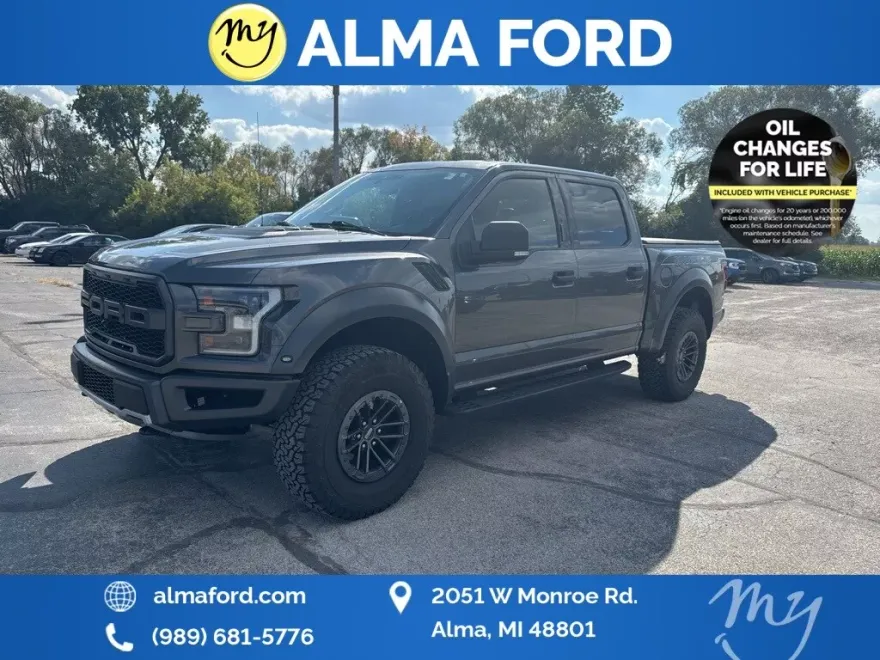 2019 Ford F-150 Raptor photo 1