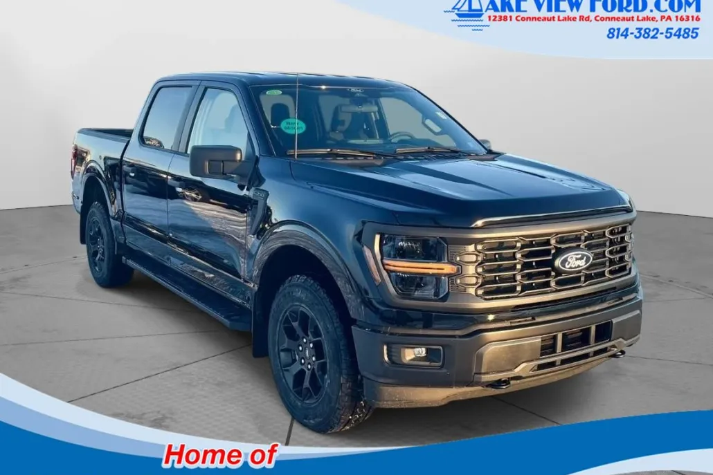2025 Ford F-150 STX photo 1