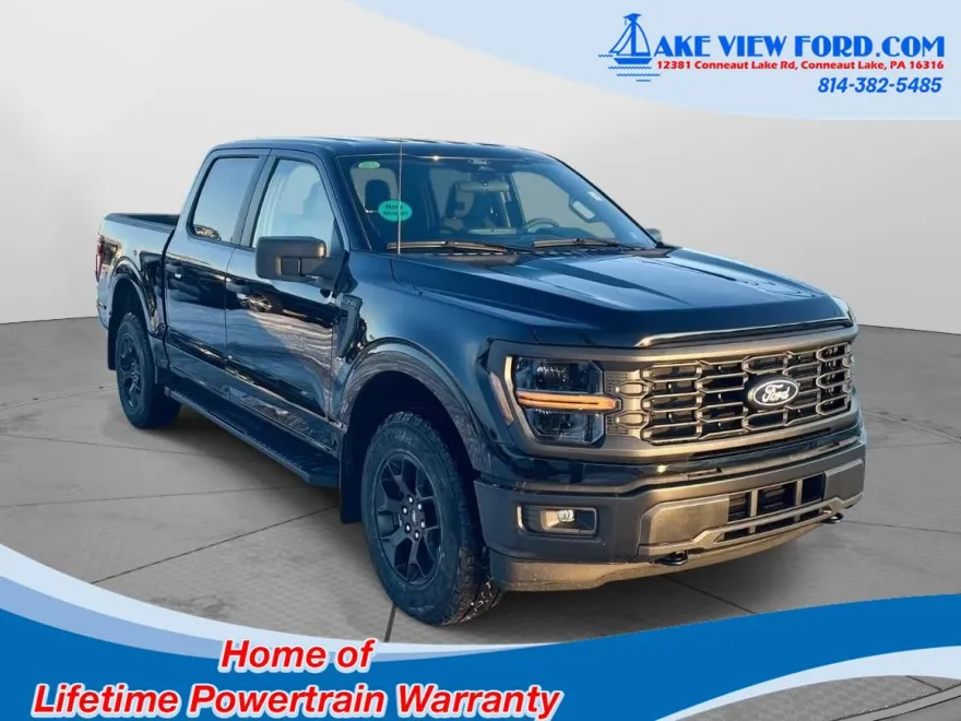 2025 Ford F-150 STX photo 1