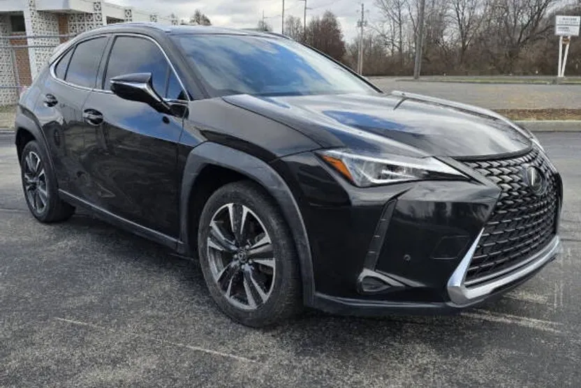 2019 Lexus UX 200 photo 1