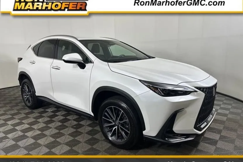2024 Lexus NX 350h photo 1