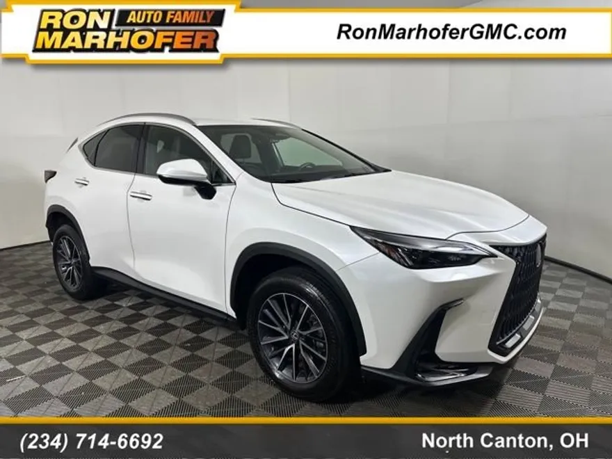 2024 Lexus NX 350h photo 1